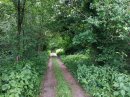 Bois de la Pierre aux Fées